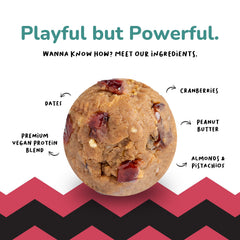 Pista Cranberry protein balls ingredients – pistachios, cranberry, dates, pea protein, rice protein